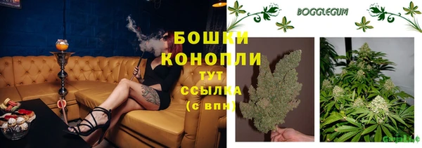 гидропоника Белокуриха