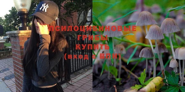 индика Строитель