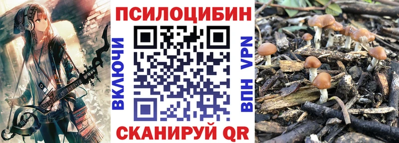 наркотики  Козьмодемьянск  Галлюциногенные грибы мицелий 